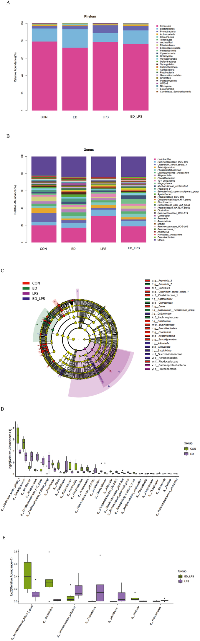 Dietary emodin alleviates lipopolysaccharide-induced intestinal mucosal barrier injury by regulating gut microbiota in piglets