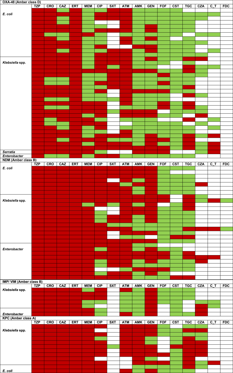 Clinical, microbiological characteristics and predictors of mortality in patients with carbapenemase-producing Enterobacterales bloodstream infections: a multicentre study