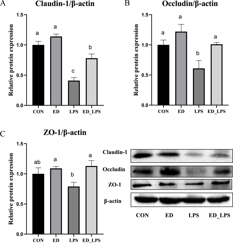 Dietary emodin alleviates lipopolysaccharide-induced intestinal mucosal barrier injury by regulating gut microbiota in piglets