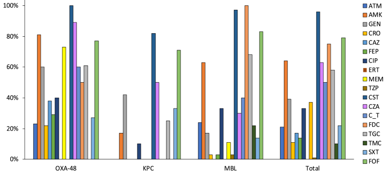 Clinical, microbiological characteristics and predictors of mortality in patients with carbapenemase-producing Enterobacterales bloodstream infections: a multicentre study