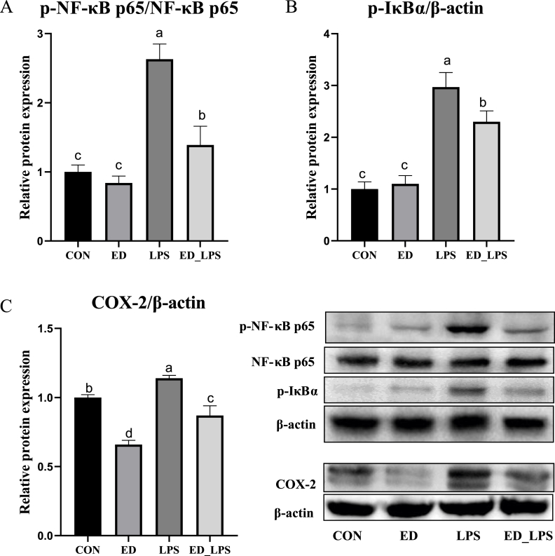 Dietary emodin alleviates lipopolysaccharide-induced intestinal mucosal barrier injury by regulating gut microbiota in piglets