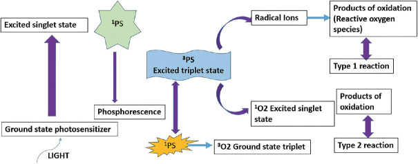 Emerging role of photodynamic therapy as an adjunct to nonsurgical periodontal therapy on periodontal status and glycemic control in patients with type 2 diabetes: A clinical study.