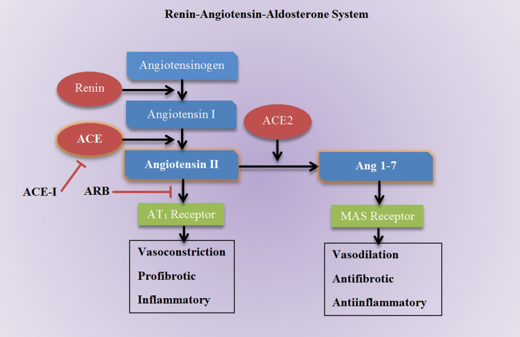 Targeting the Angiotensin Pathway in the Treatment of Cutaneous Fibrosis: A Systematic Review