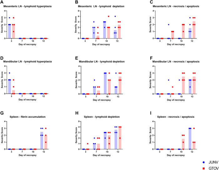 Temporal changes in pathology and viral RNA distribution in guinea pigs following separate infection with two New World Arenaviruses.