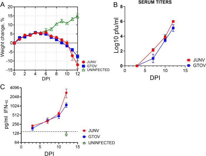 Temporal changes in pathology and viral RNA distribution in guinea pigs following separate infection with two New World Arenaviruses.