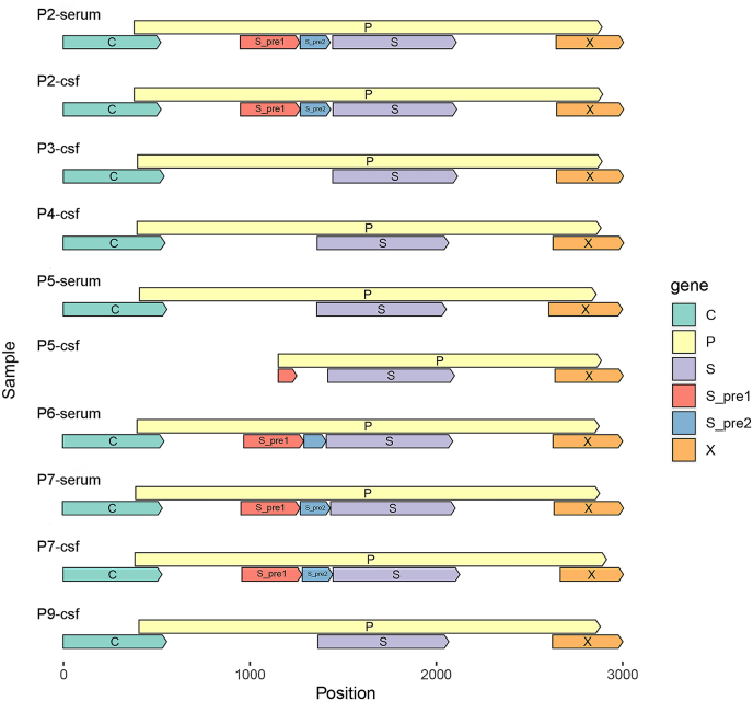 The central nervous system is a potential reservoir and possible origin of drug resistance in hepatitis B infection