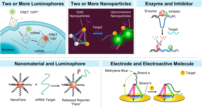 Proximity-Driven DNA Nanosensors.