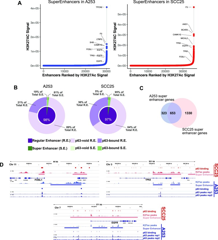 An integrated genomic approach identifies follistatin as a target of the p63-epidermal growth factor receptor oncogenic network in head and neck squamous cell carcinoma.