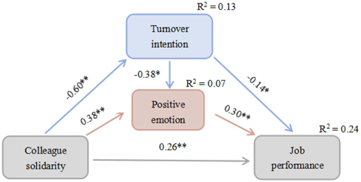 Nurses' Colleague Solidarity and Job Performance: Mediating Effect of Positive Emotion and Turnover Intention