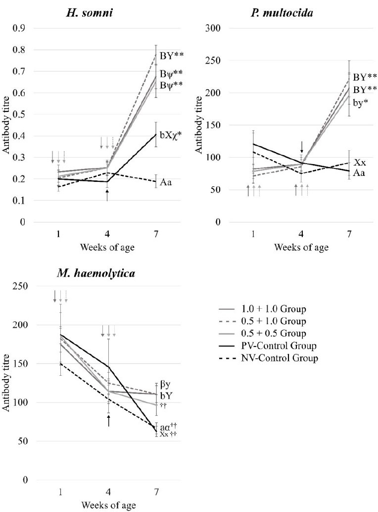 Antibody response to 1.0 and 0.5 mL doses of an inactivated bacterial vaccine against bovine respiratory disease in young Holstein calves: a field trial.