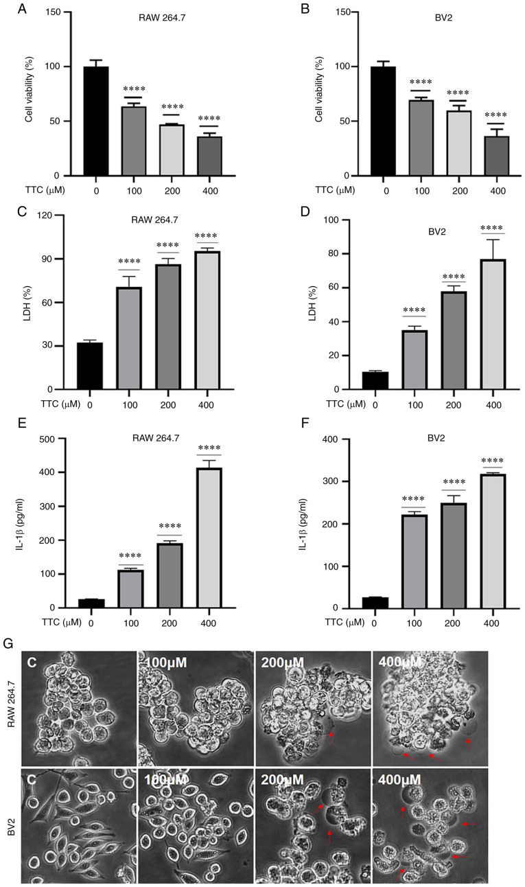 Tetracaine hydrochloride induces macrophage pyroptosis through caspase‑1/11‑GSDMD signaling pathways.