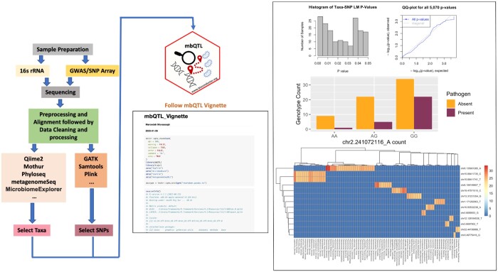 mbQTL: an R/Bioconductor package for microbial quantitative trait loci (QTL) estimation.