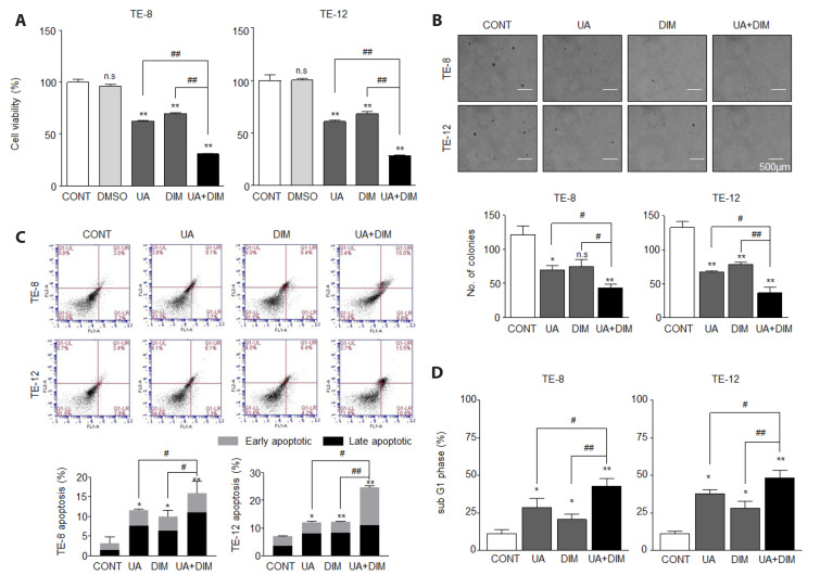 Inhibition of the interaction between Hippo/YAP and Akt signaling with ursolic acid and 3'3-diindolylmethane suppresses esophageal cancer tumorigenesis.