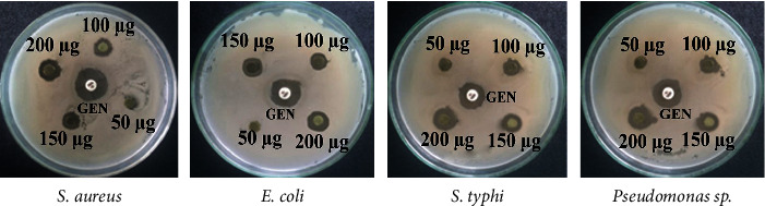 Antioxidant, Cytotoxicity, Antimicrobial Activity, and <i>In Silico</i> Analysis of the Methanolic Leaf and Flower Extracts of <i>Clitoria ternatea</i>.