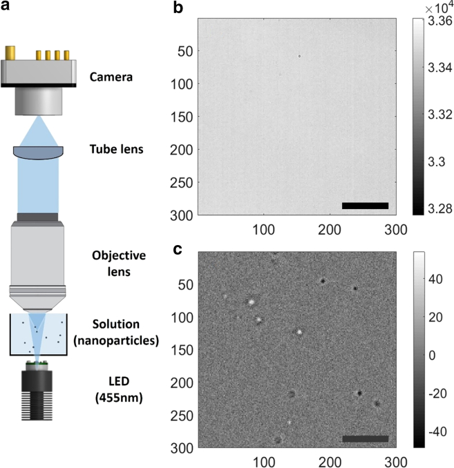 Real-time detection of virus antibody interaction by label-free common-path interferometry.