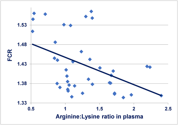 The influence of dietary crude protein concentrations, grain types and arginine:lysine ratios on the performance of broiler chickens