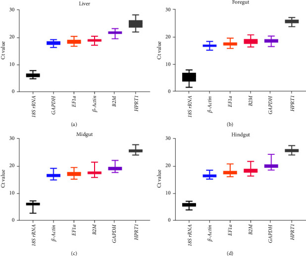 Screening and Stability Analysis of Reference Genes for Gene Expression Normalization in Hybrid Yellow Catfish (<i>Pelteobagrus fulvidraco</i> ♀ × <i>Pelteobagrus vachelli</i> ♂) Fed Diets Containing Different Soybean Meal Levels.