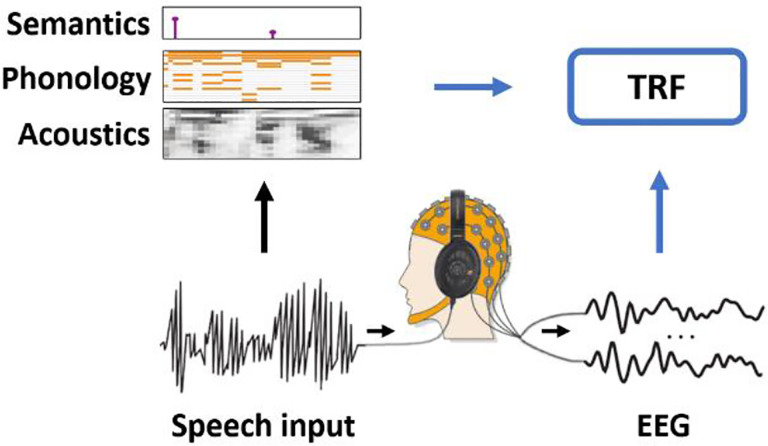 A standardised open science framework for sharing and re-analysing neural data acquired to continuous stimuli.