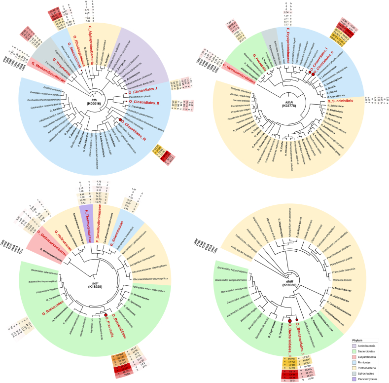 Acid tolerance of lactate-utilizing bacteria of the order Bacteroidales contributes to prevention of ruminal acidosis in goats adapted to a high-concentrate diet