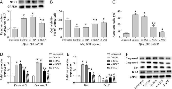 NEK7 inhibition attenuates Aβ<sub>42</sub>-induced cognitive impairment by regulating TLR4/NF-κB and the NLRP3 inflammasome in mice.