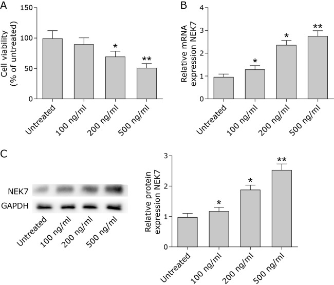 NEK7 inhibition attenuates Aβ<sub>42</sub>-induced cognitive impairment by regulating TLR4/NF-κB and the NLRP3 inflammasome in mice.