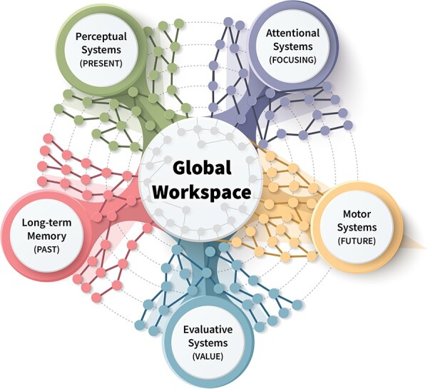 The evolutionary origins of the Global Neuronal Workspace in vertebrates.