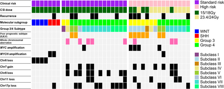 Subtyping of Group 3/4 medulloblastoma as a potential prognostic biomarker among patients treated with reduced dose of craniospinal irradiation: a Japanese Pediatric Molecular Neuro-Oncology Group study.