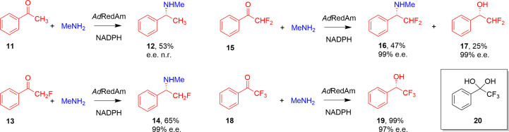 Structure of the imine reductase from Ajellomyces dermatitidis in three crystal forms.