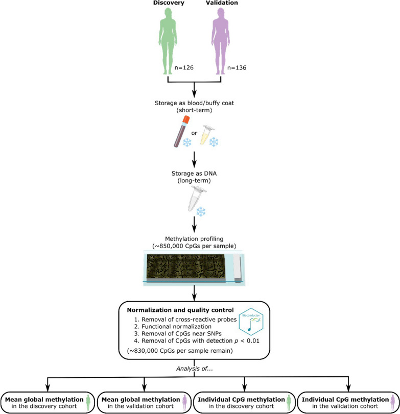 Degradation of methylation signals in cryopreserved DNA.