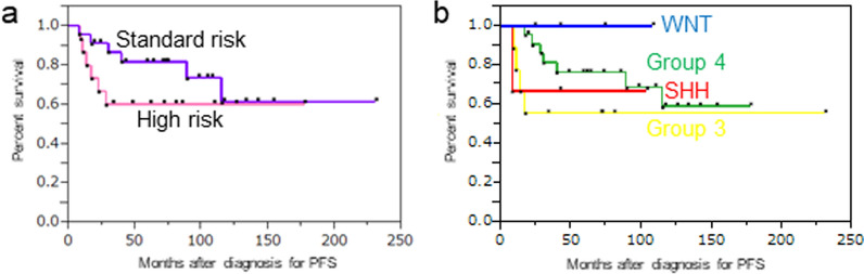 Subtyping of Group 3/4 medulloblastoma as a potential prognostic biomarker among patients treated with reduced dose of craniospinal irradiation: a Japanese Pediatric Molecular Neuro-Oncology Group study.