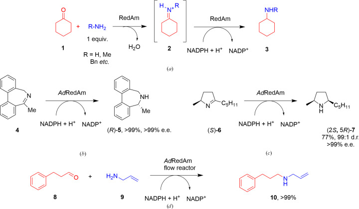 Structure of the imine reductase from Ajellomyces dermatitidis in three crystal forms.