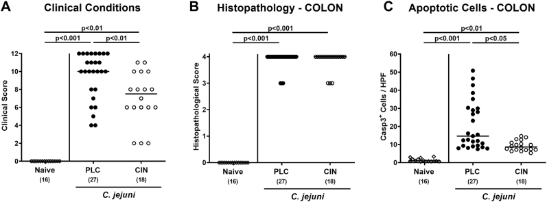 Not only for Christmas: Prophylactic oral application of trans-cinnamaldehyde alleviates acute murine campylobacteriosis.