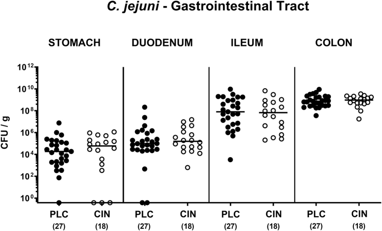 Not only for Christmas: Prophylactic oral application of trans-cinnamaldehyde alleviates acute murine campylobacteriosis.