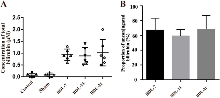 Bilirubin potentiates etomidate-induced sedation by enhancing GABA-induced currents after bile duct ligation.