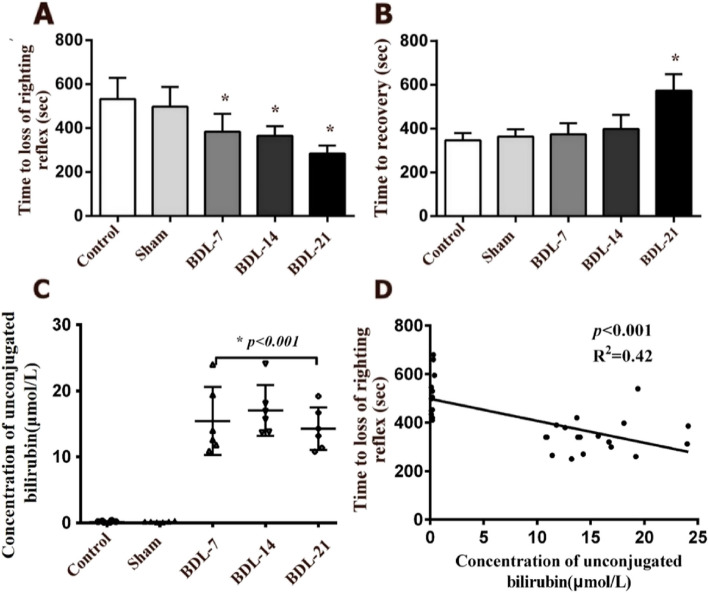 Bilirubin potentiates etomidate-induced sedation by enhancing GABA-induced currents after bile duct ligation.