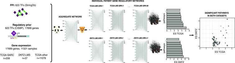 Heterogeneity in the gene regulatory landscape of leiomyosarcoma.