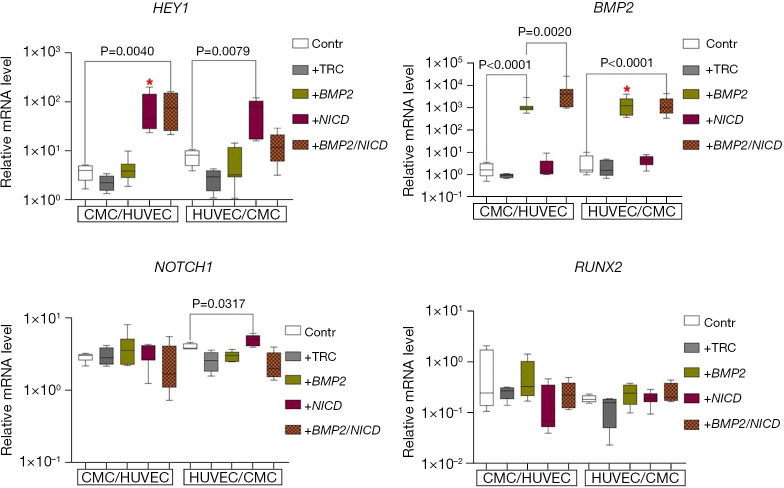 Interplay between BMP2 and Notch signaling in endothelial-mesenchymal transition: implications for cardiac fibrosis.