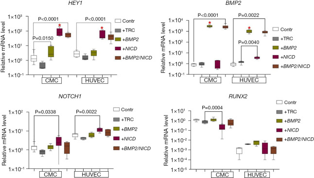 Interplay between BMP2 and Notch signaling in endothelial-mesenchymal transition: implications for cardiac fibrosis.