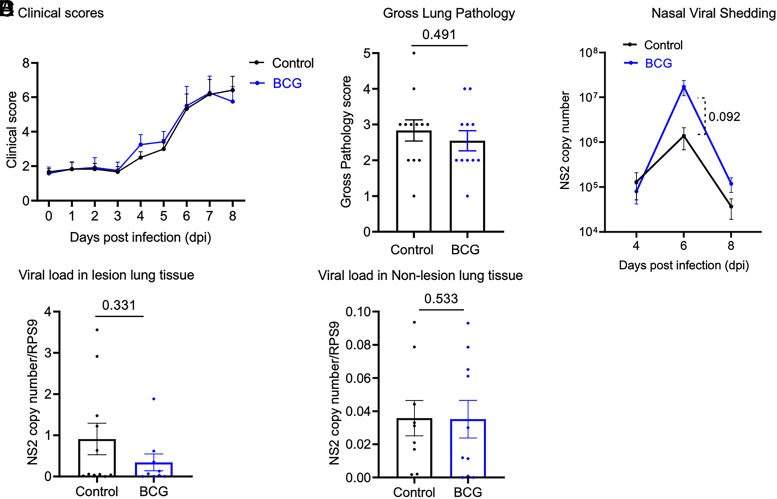 Subcutaneous Bacillus Calmette-Guérin Administration Induces Innate Training in Monocytes in Preweaned Holstein Calves.