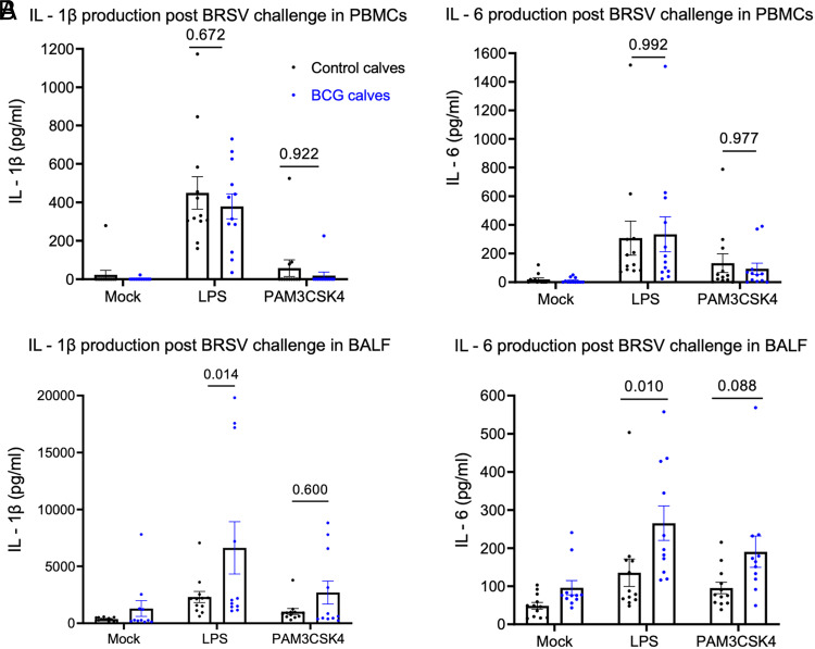 Subcutaneous Bacillus Calmette-Guérin Administration Induces Innate Training in Monocytes in Preweaned Holstein Calves.