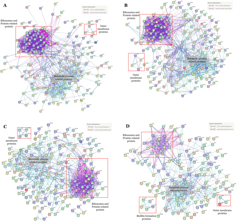 Proteomic analysis of ceftazidime and meropenem-exposed Pseudomonas aeruginosa ATCC 9027.