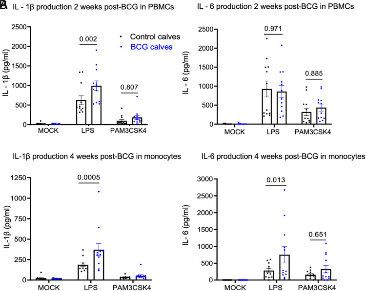 Subcutaneous Bacillus Calmette-Guérin Administration Induces Innate Training in Monocytes in Preweaned Holstein Calves.