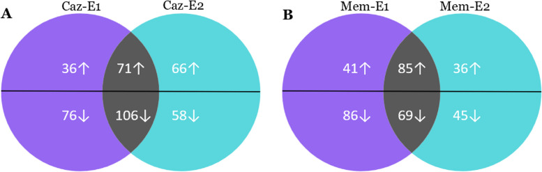 Proteomic analysis of ceftazidime and meropenem-exposed Pseudomonas aeruginosa ATCC 9027.