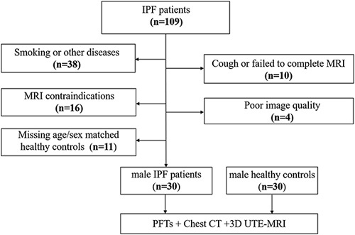 Elastic Registration Algorithm Based on Three-dimensional Pulmonary MRI in Quantitative Assessment of Severity of Idiopathic Pulmonary Fibrosis.