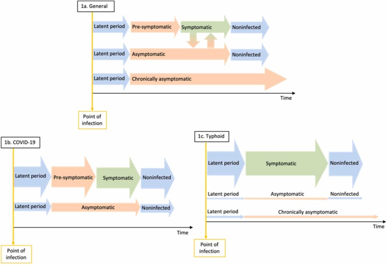 Asymptomatic but infectious – The silent driver of pathogen transmission. A pragmatic review