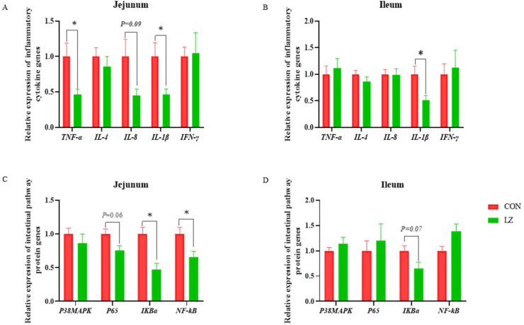 Dietary lysozyme improves growth performance and intestinal barrier function of weaned piglets