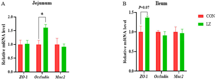 Dietary lysozyme improves growth performance and intestinal barrier function of weaned piglets