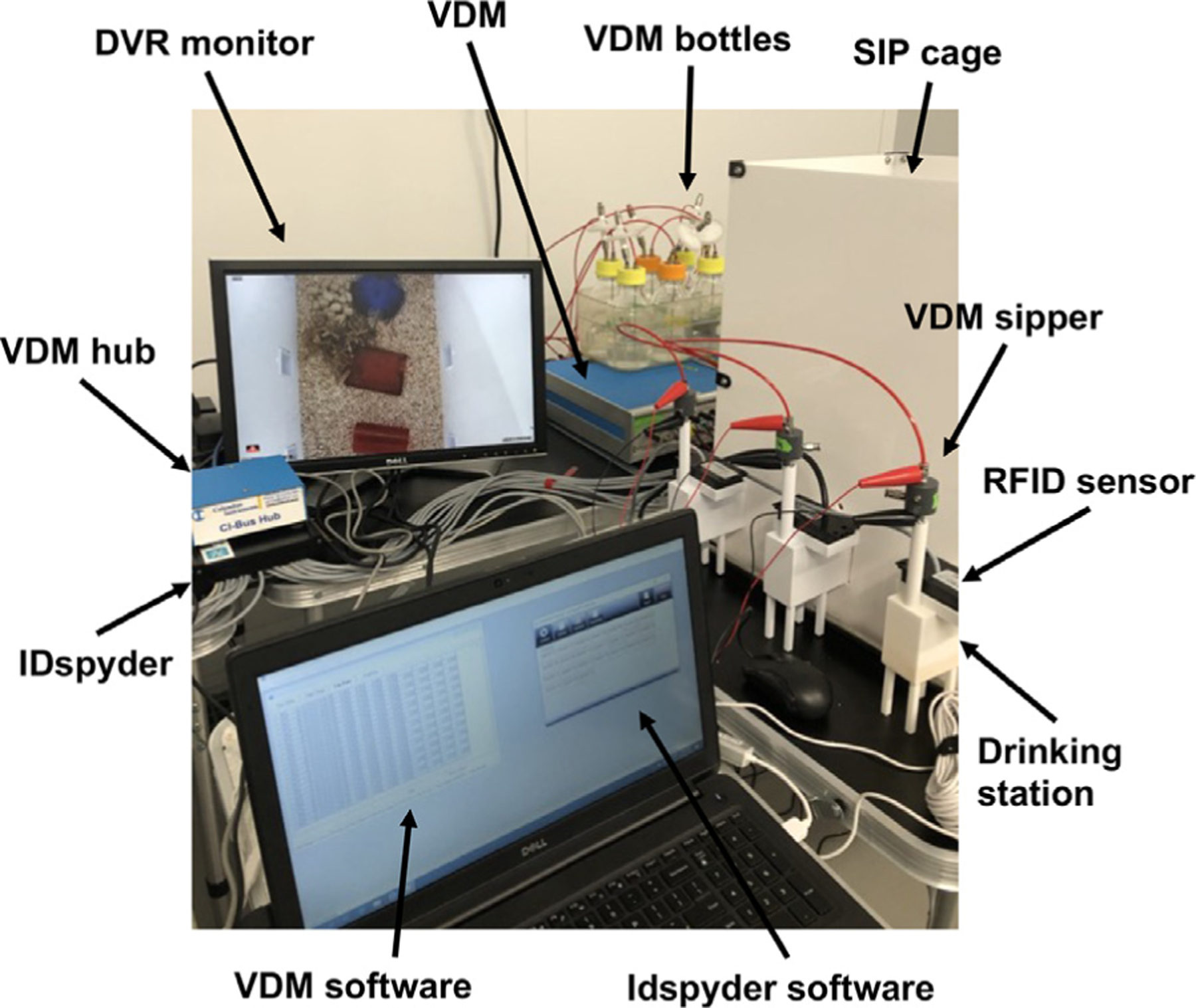 Socially Integrated Polysubstance (SIP) system: An open-source solution for continuous monitoring of polysubstance fluid intake in group housed mice