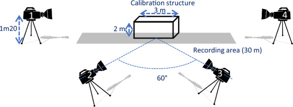 Genetic analysis of geometric morphometric 3D visuals of French jumping horses.