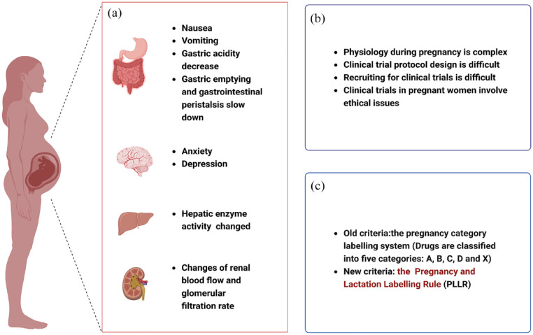 Opportunities and challenges of pharmacovigilance in special populations: a narrative review of the literature.